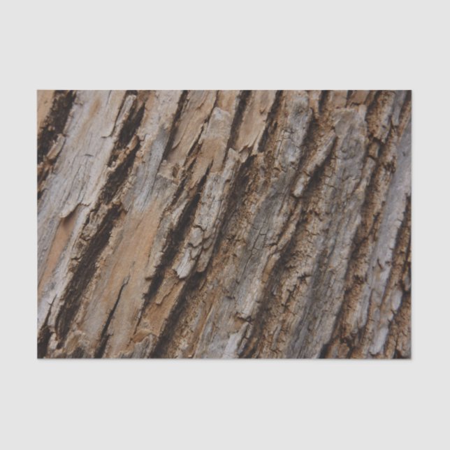 Tree Bark I Natural Abstract Textured Design Tissue Paper (Front)