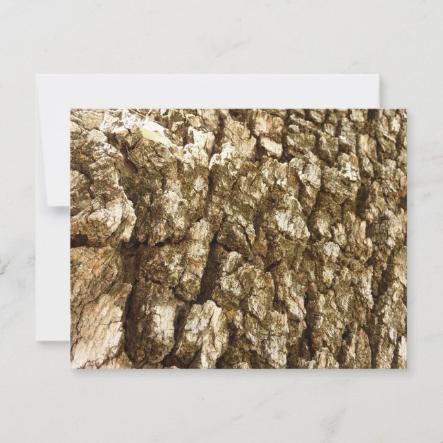 Tree Bark II Natural Textured Design (Front)