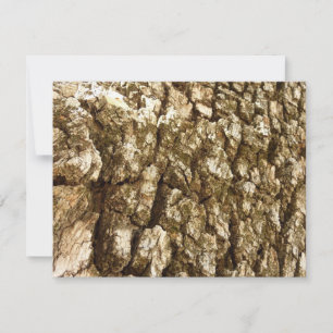 Tree Bark II Natural Textured Design