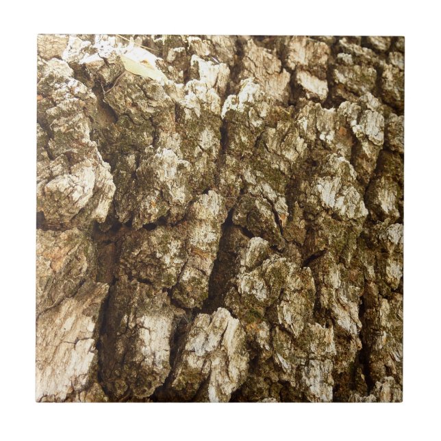 Tree Bark II Natural Textured Design Tile (Front)
