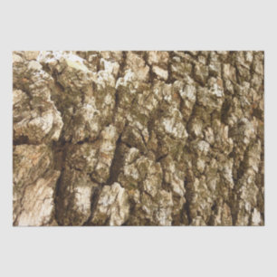 Tree Bark II Natural Textured Design Tissue Paper