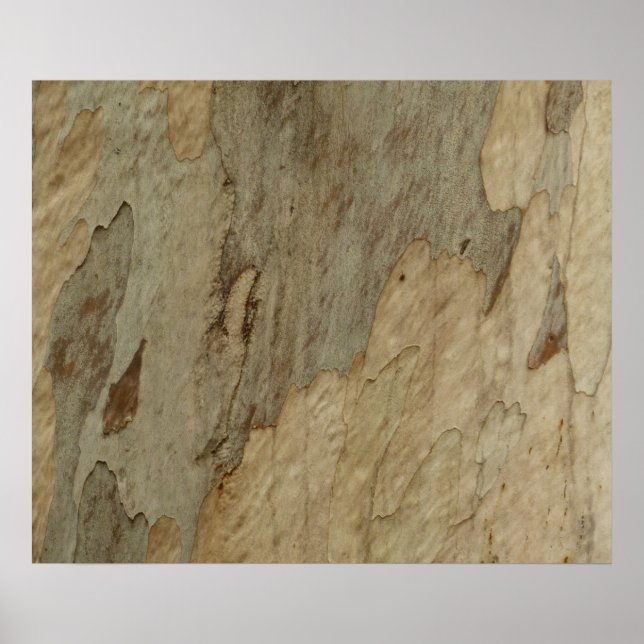Tree Bark III Natural Abstract Textured Design Poster (Front)