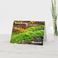 Tree Bark in Autumn Moss - Custom Birthday Card