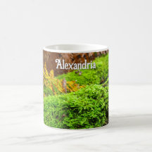 Tree Bark in Autumn Moss - Personalized