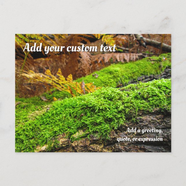 Tree Bark in Autumn Moss - Personalized Postcard (Front)