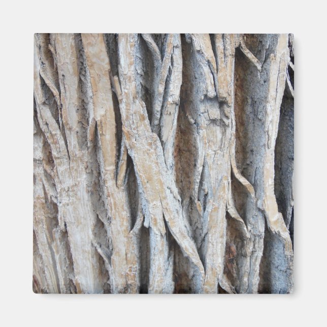 Tree Bark Magnet (Front)