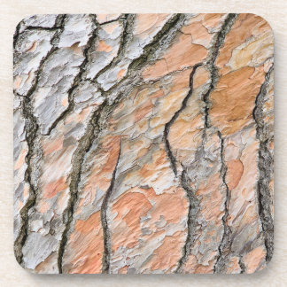 Tree Bark Nature Pattern Coaster