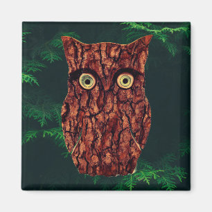Tree bark owl rustic evergreen green brown magnet