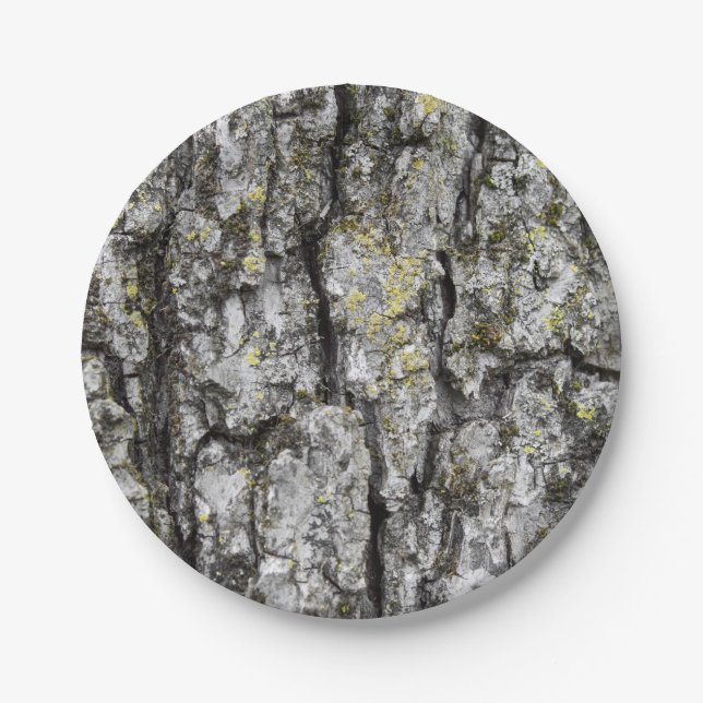 Tree Bark Paper Plate (Front)