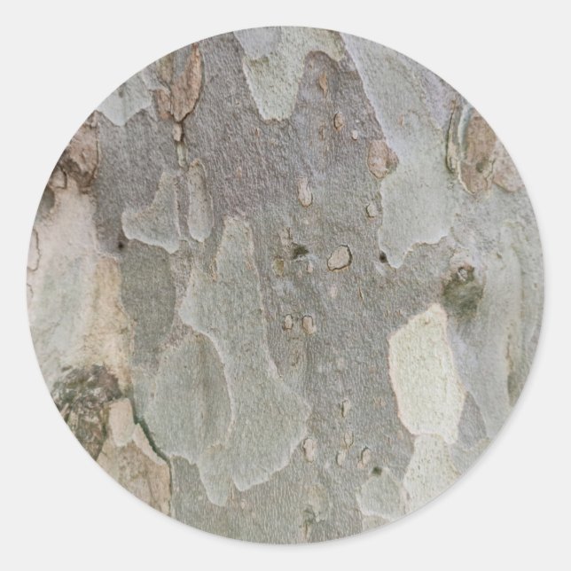 Tree bark pattern classic round sticker (Front)