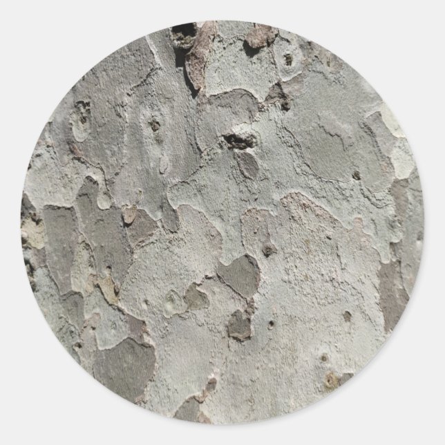 Tree bark pattern classic round sticker (Front)