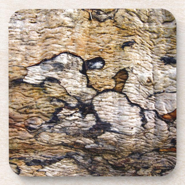 Tree bark pattern coaster (Front)