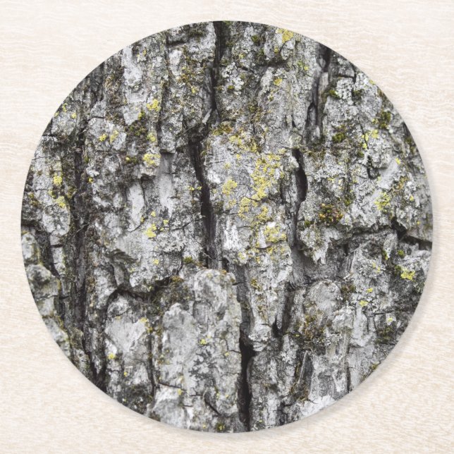 Tree Bark Round Paper Coaster (Front)