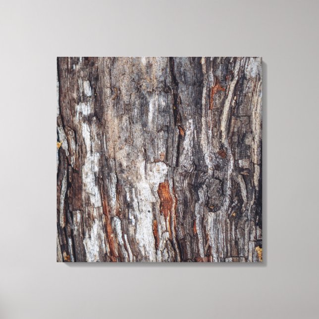 Tree Bark Texture Canvas Print (Front)