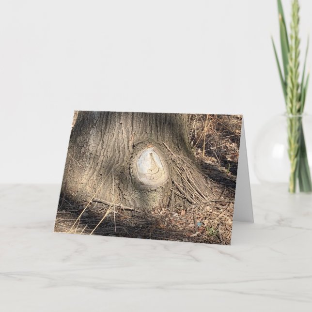 Tree Bark Texture Large Knothole Photograph Card (Front)
