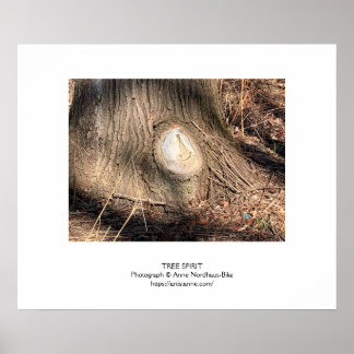 Tree Bark Texture Large Knothole Poster