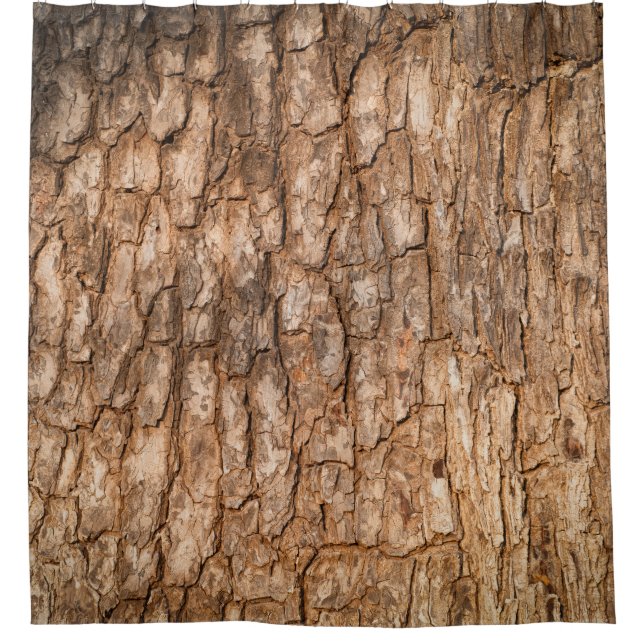Tree bark texture, natural wood background. (Front)