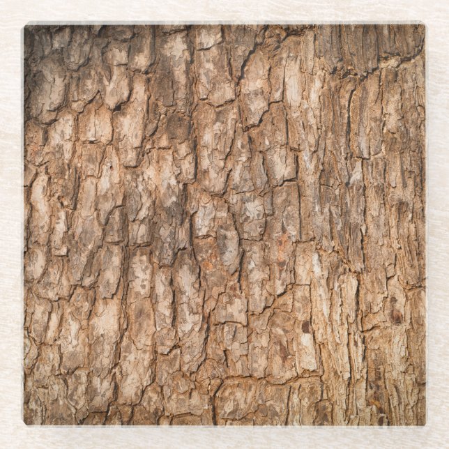 Tree bark texture, natural wood background. glass coaster (Front)