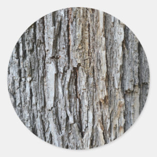 tree bark texture nature pattern background plant classic round sticker