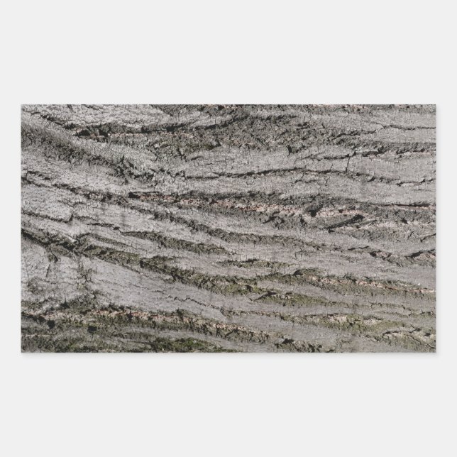 tree bark texture pattern nature plant sticker (Front)