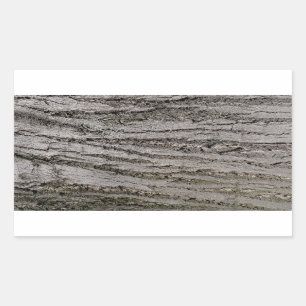 tree bark texture pattern nature plant sticker