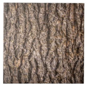 Tree Bark Texture Tile