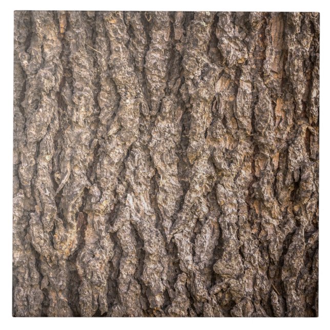Tree Bark Texture Tile (Front)