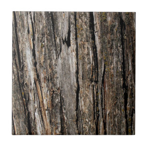 Tree Bark Tile
