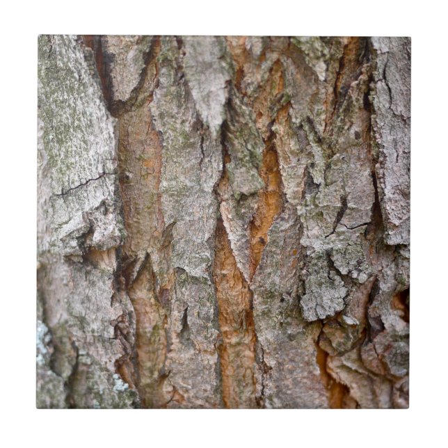Tree Bark, Wood, Trees Forest Tile (Front)