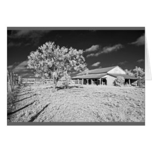 Tree, barn and fence