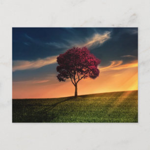 Tree beautiful nature scenery postcard