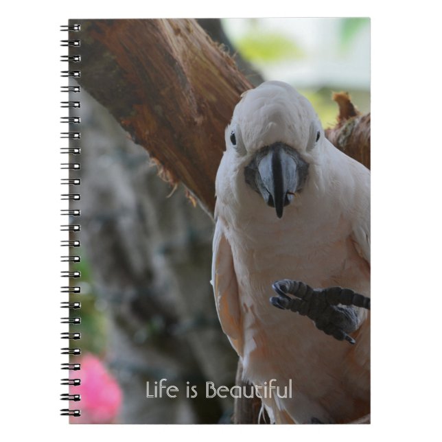 Tree Bird Kauai (my photography) Notebook (Front)