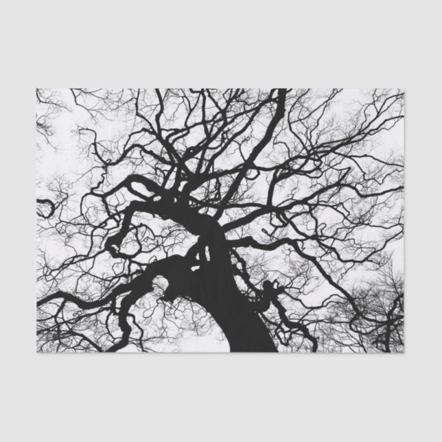 Tree Black and White Silhouette Tissue Paper (Front)