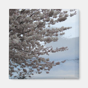 Tree Blossom Fridge Magnet