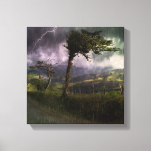 Tree Blowing in the Wind During a Thunder Storm Canvas Print