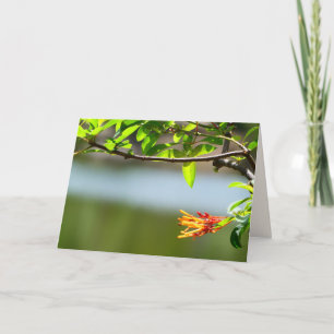 Tree Branch and Orange Flower, Blank Inside Card