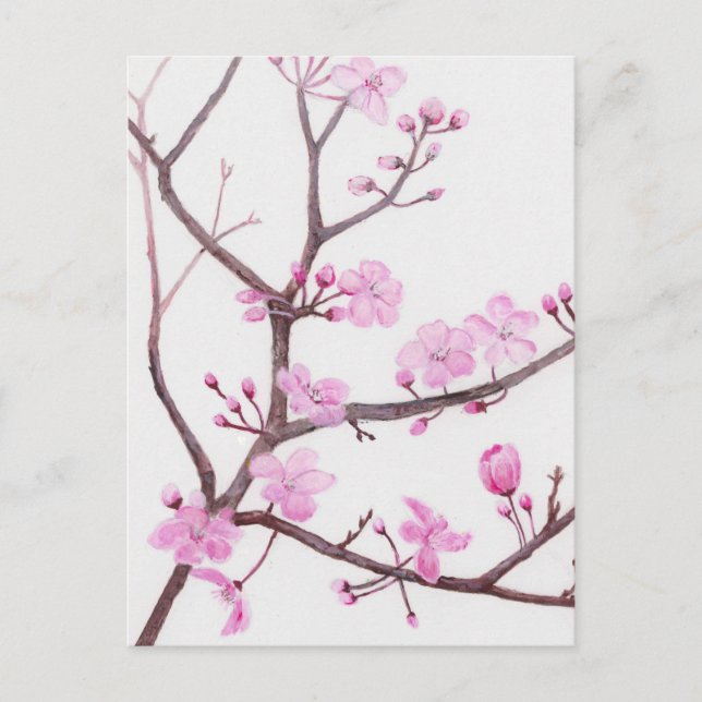 Tree branch blossoming with pink flowers in spring postcard (Front)