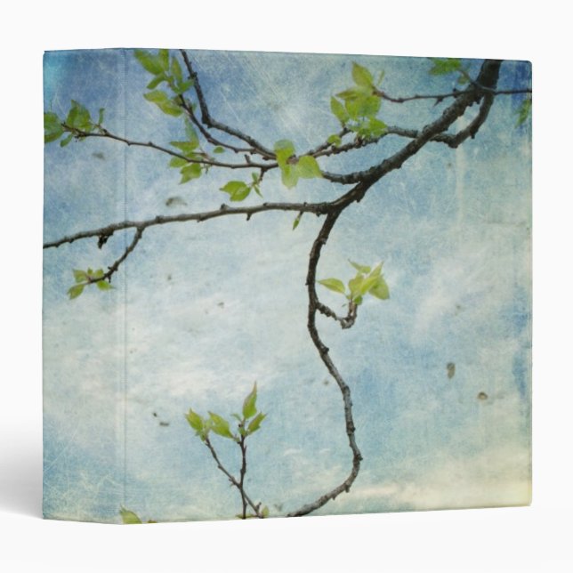 Tree Branch Over Textured Sky Binder (Front/Spine)
