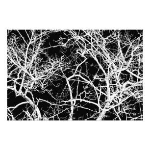 Tree branches on black background photo print