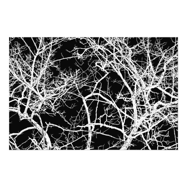 Tree branches on black background photo print (Front)