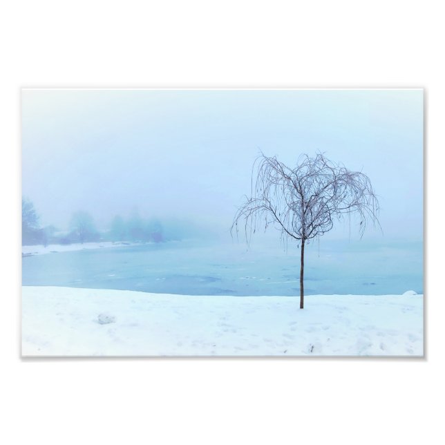 Tree by a Frozen Lake Photo Print (Front)