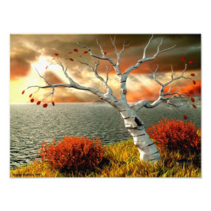 Tree by the Ocean Photo Print