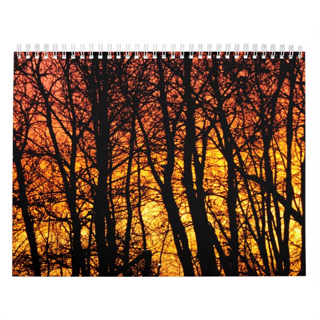 Tree Calendar (Cover)