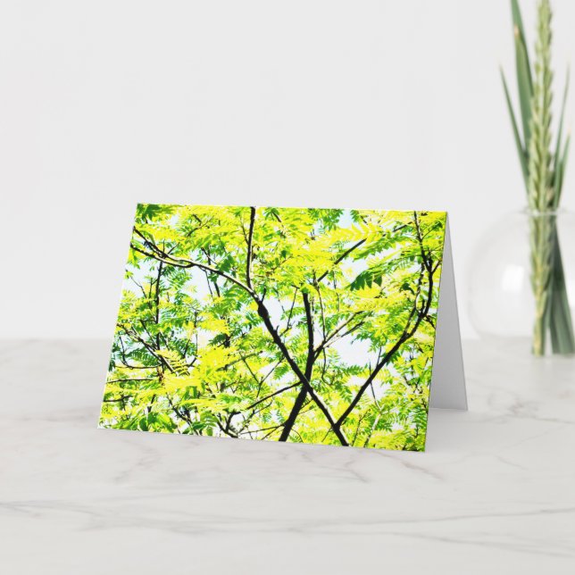 Tree Canopy Pop Art Card (Front)