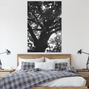 Tree  canvas print