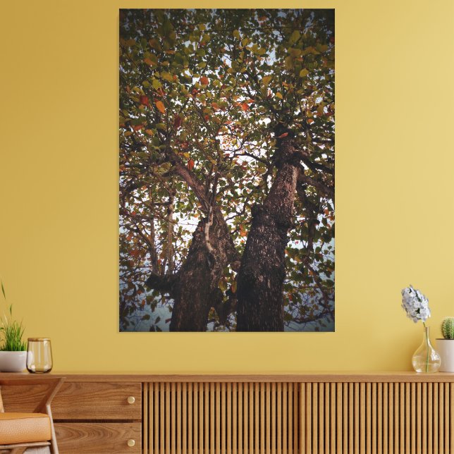 Tree Canvas Print (Insitu(LivingRoom))