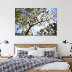 Tree  canvas print