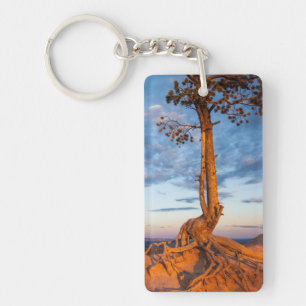 Tree Clings to Ledge, Bryce Canyon National Park Keychain