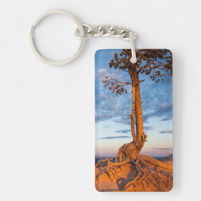 Tree Clings to Ledge, Bryce Canyon National Park Keychain (Front)
