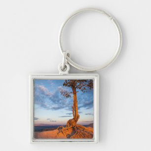 Tree Clings to Ledge, Bryce Canyon National Park Keychain